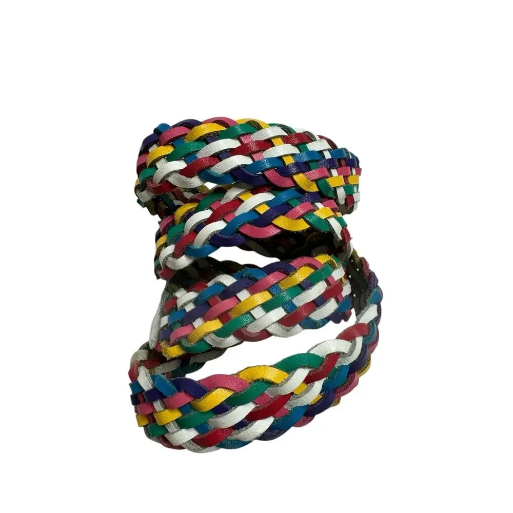 chic rainbow braided